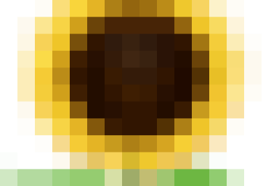 LỄ KHAI GIẢNG NĂM HỌC 2025 – 2026 TRƯỜNG TIỂU HỌC TRẦN TẾ XƯƠNG TỰ HÀO CÙNG GIÁO DỤC VIỆT NAM BƯỚC VÀO KỶ NGUYÊN VƯƠN MÌNH CÙNG DÂN TỘC