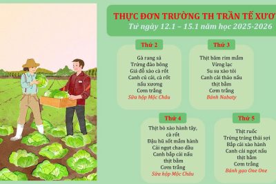 Thực đơn trường TH Trần Tế Xương từ ngày 12/01/2026-15/01/2026