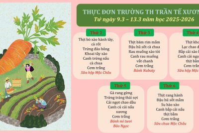 Thực đơn trường TH Trần Tế Xương từ ngày 09/03/2026-13/03/2026